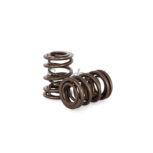 Kelford NISSAN L20-L28 DUAL SPRING SET image