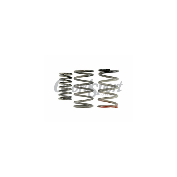 Turbosmart GenV WG38/40 HP Spring Replacement Kit image