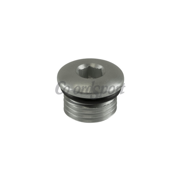 Turbosmart Fitting -6 AN ORB Blank - Silver image