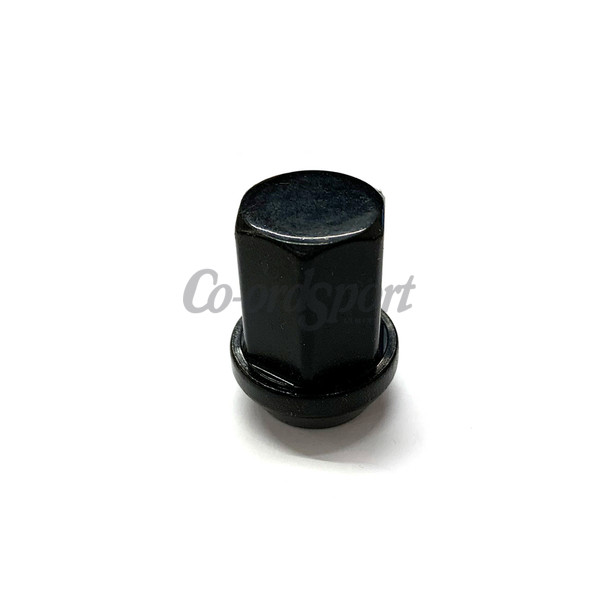 RAYS 19HEX  SINGLE NUT M14  PORSCHE etc image