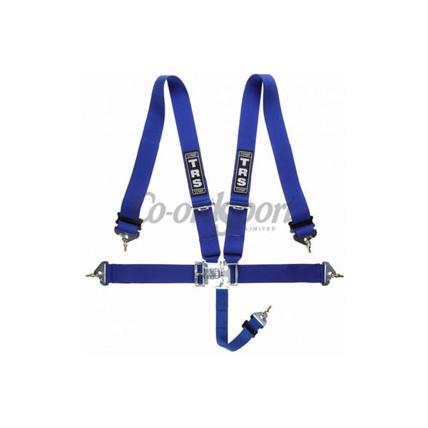 TRS Nascar 3in Lever/Latch - 5 point Harness in Blue image