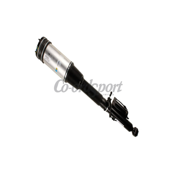 Bilstein B4 Damper and Spring - Mercedes S-Class (W220)Am image