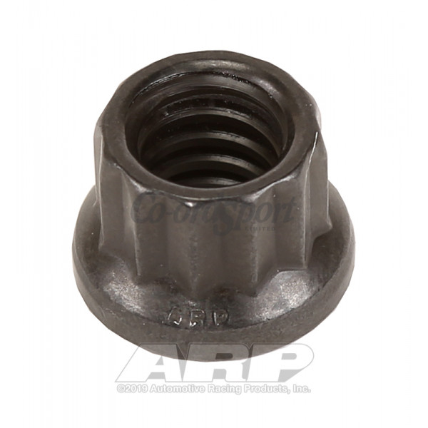 ARP 1/4-20 12pt nut kit image