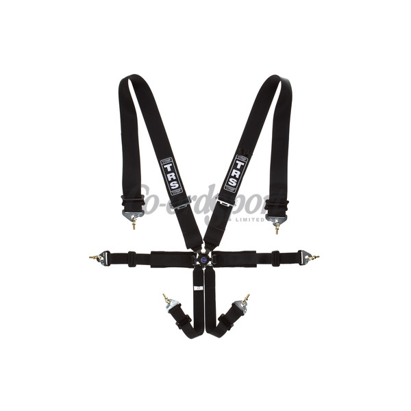 TRS New Pro 2in/3in - 6 point Harness in Black image