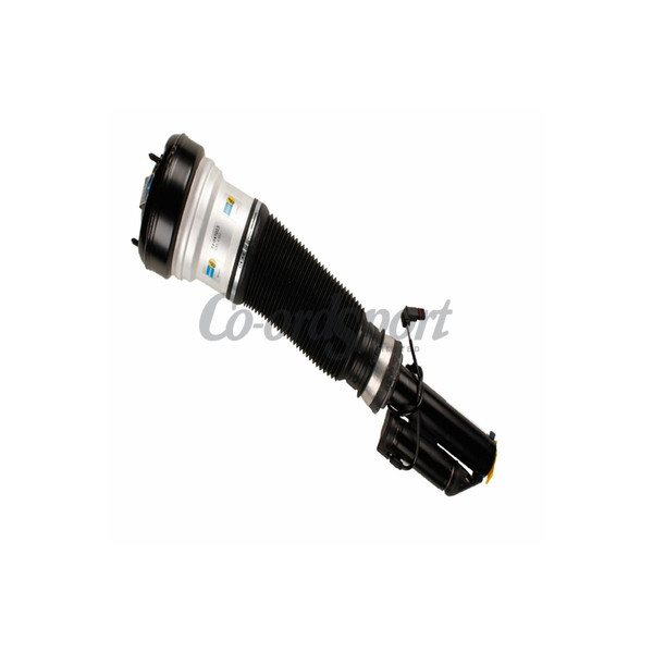 Bilstein B4 Damper and Spring - Mercedes S-Class (W220);VAm image