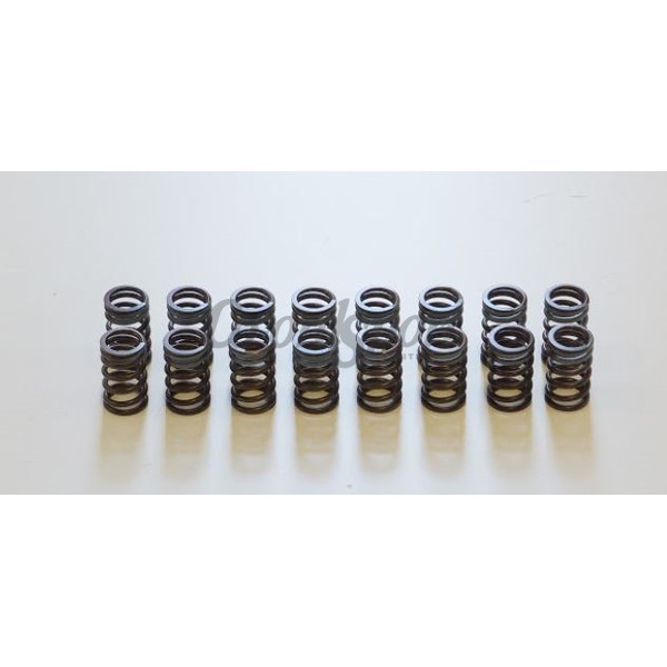 HKS Valve Spring Kit for SR20DE(T) Step 2 (Not Rnn14) image