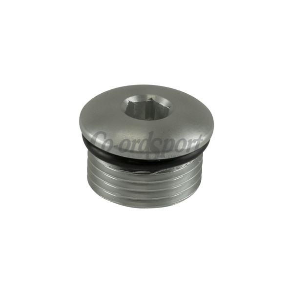 Turbosmart Fitting -10 AN ORB Blank - Silver image