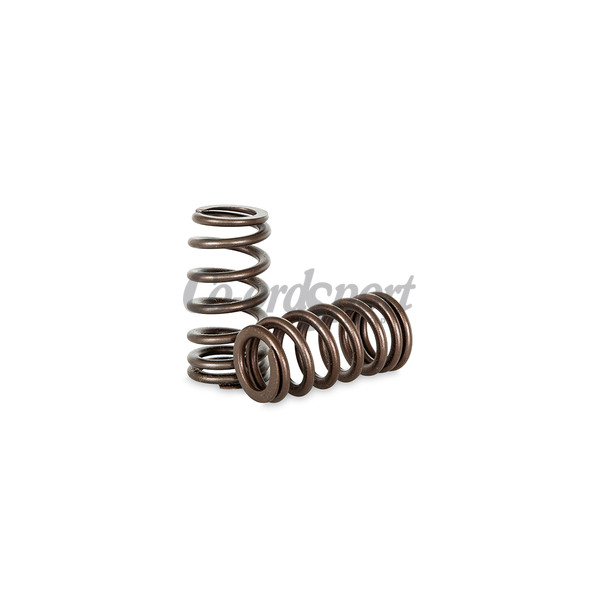Kelford SUBARU EJ20 STi Version4 Spring set image