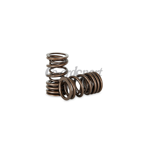 Kelford NISSAN A SERIES DUAL VALVE SPRING SET image
