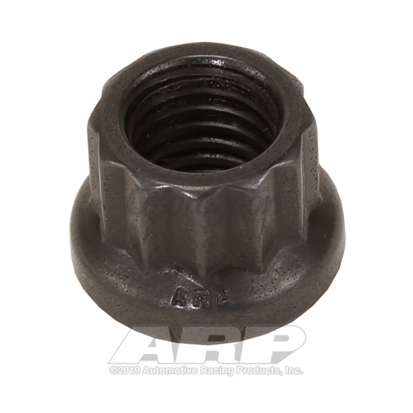 ARP 1/4-28 12pt nut kit image