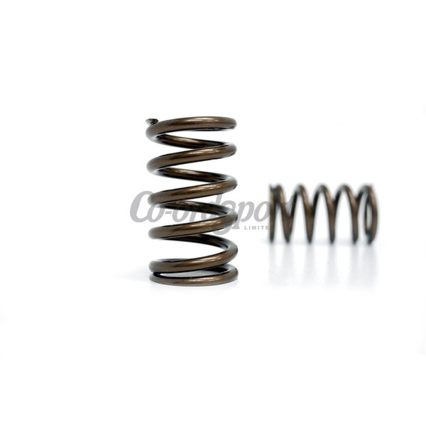 Kelford Toyota 1JZ-GTE Valve spring set image