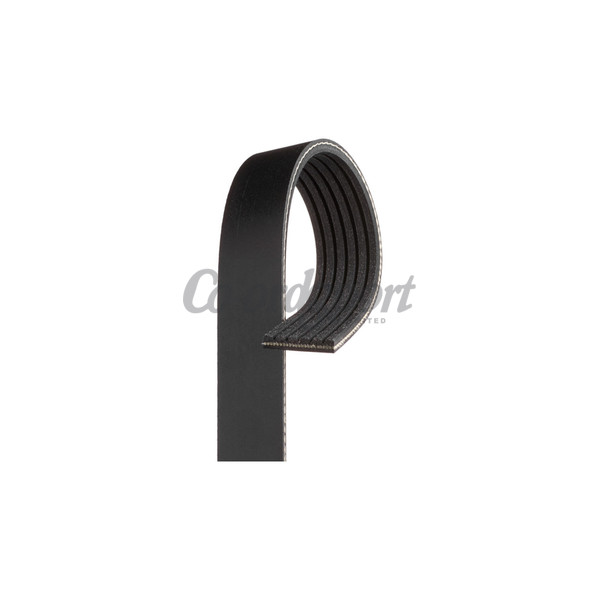 Gates Micro V belt image