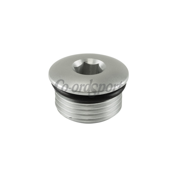 Turbosmart Fitting -12 AN ORB Blank - Silver image