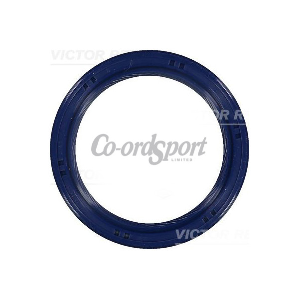 Victor Reinz Fiat Oil Seal image