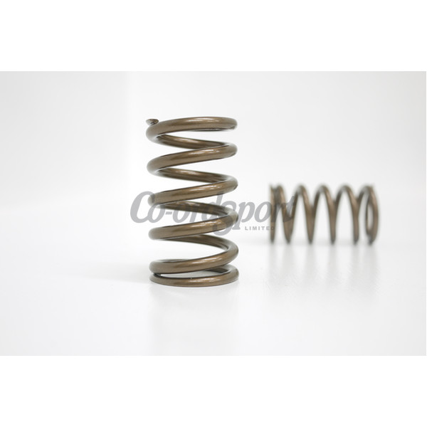 Kelford TOYOTA 3S-GE Gen2&3 RACE SPRINGS image