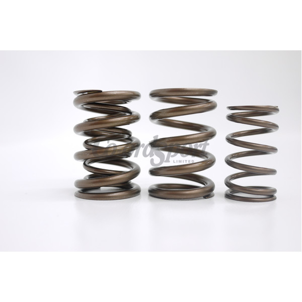 Kelford PACALOY RACE SPRING SR1620VE image