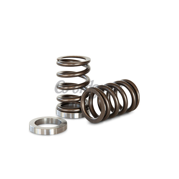 Kelford NISSAN CA18 SPRING AND BASE image