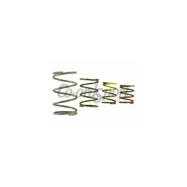 Turbosmart GenV WG45/50 Spring Replacement Kit image