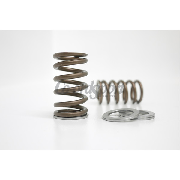Kelford TOYOTA 2JZ-GTE RACING VALVE SPRING SET image