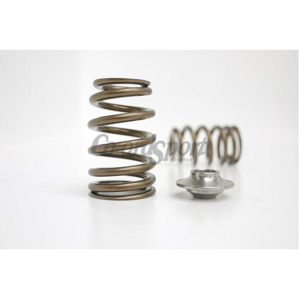 Kelford NISSAN SR20DET HIGH PERFORMANCE SPRING SET image