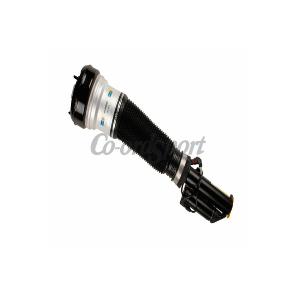 Bilstein B4 Damper and Spring - Mercedes S-Class (W220);VAm image