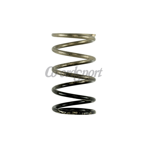 Turbosmart GenV IWG 3 PSI Spring image