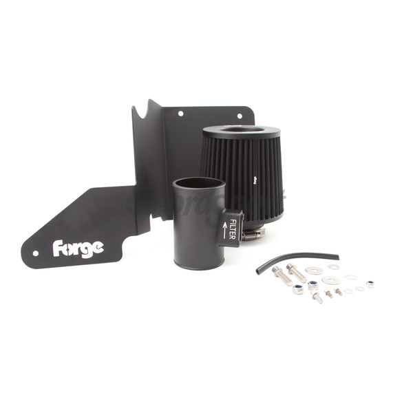 Forge Intake for the Ford Fiesta ST180 image