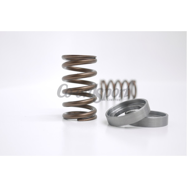 Kelford NISSAN VQ35 VALVE SPRING SET image