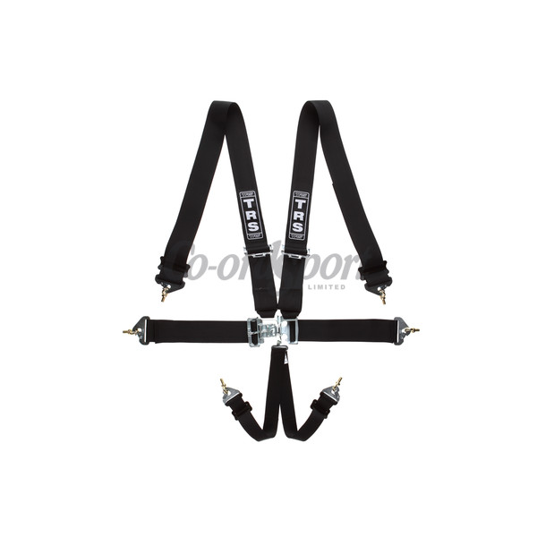 TRS Nascar 3in Lever/Latch - 6 point Harness in Black image