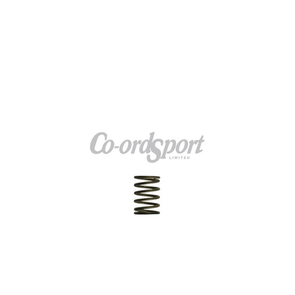 Turbosmart GenV WG38/40 3psi Black Inner Spring image