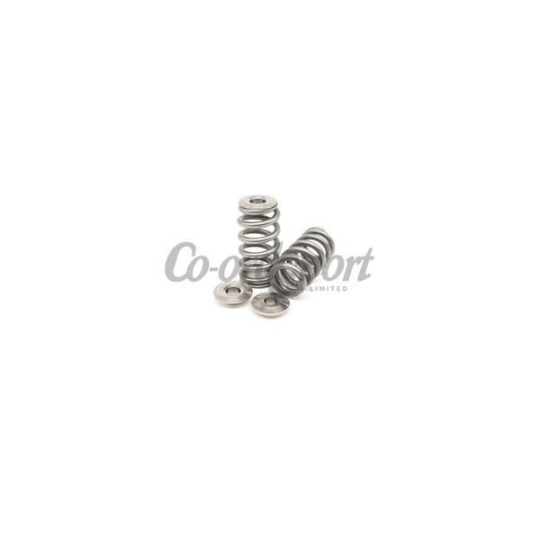 Kelford TOYOTA B58 MARK 5 SUPRA SPRING KIT WITH TI image