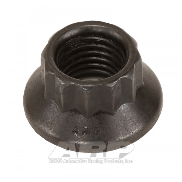 ARP M8 x 1.00 12pt nut kit image