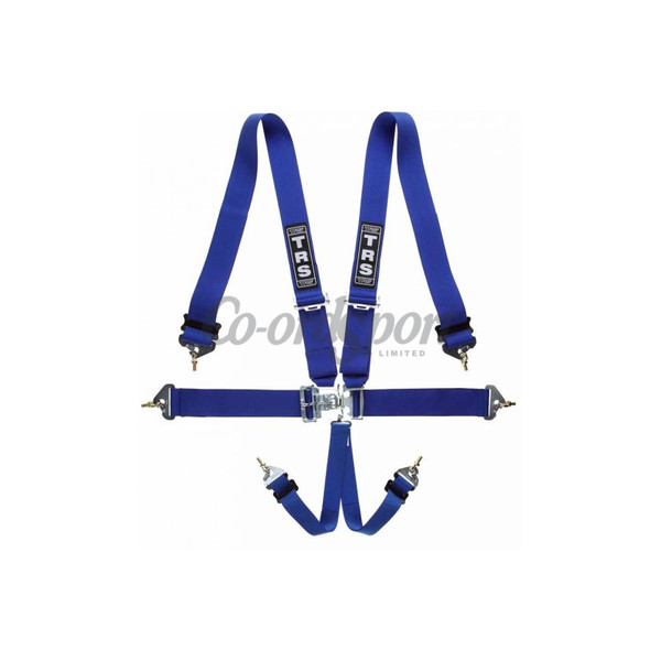 TRS Nascar 3in Lever/Latch - 6 point Harness in Blue image