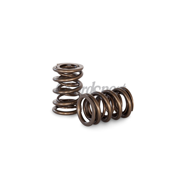 Kelford PACALOY RACE SPRING for HONDA H22A image