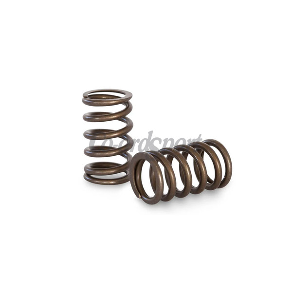 Kelford NISSAN RB25 NEO DROP IN SPRING TO SUIT OEM image