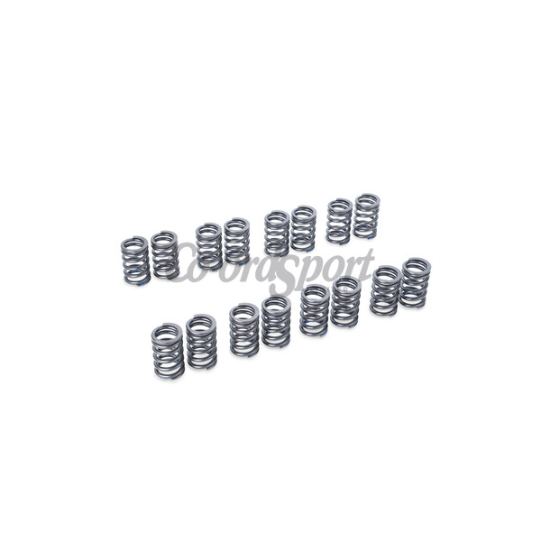 TOMEI VALVE SPRING SET EJ205/EJ207/EJ255/EJ257 image