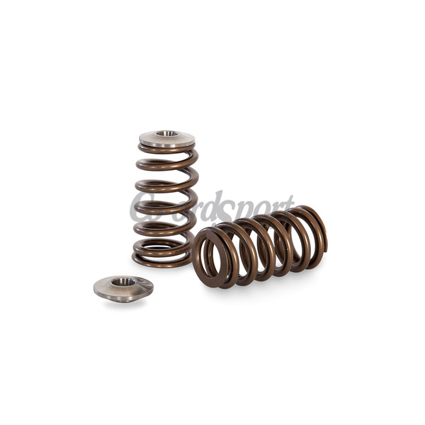 Kelford NISSAN RB25 NEO BEEHIVE SPRING AND TI RETA image