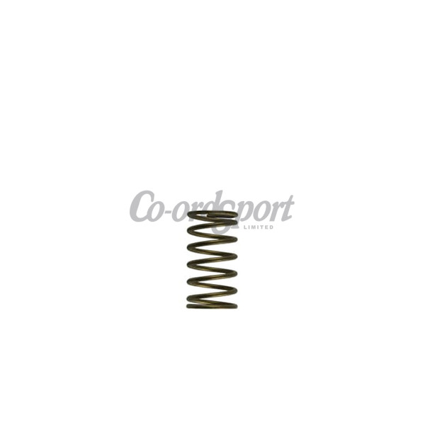 Turbosmart GenV WG60 3psi Inner Spring image