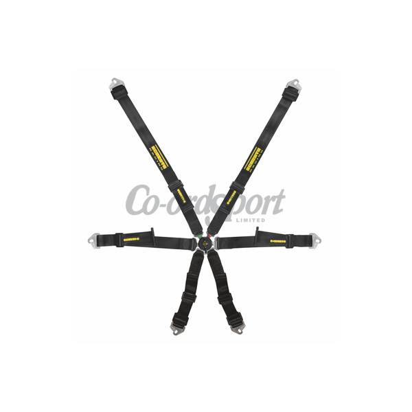 Schroth Racing Profi 2x2 - FHR Specific - Black image