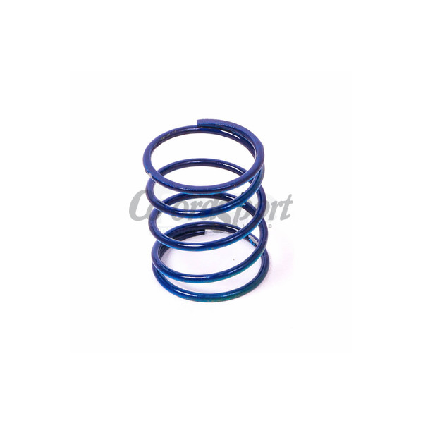 Forge Dump Valve Spring Single image