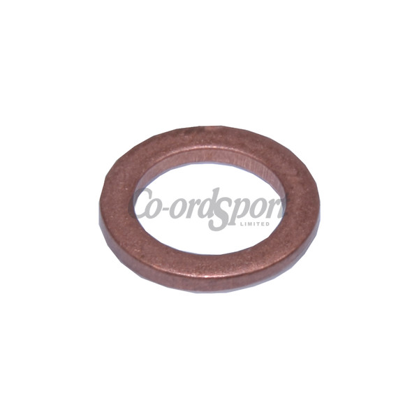 Copper Seal for Ti GSL Fuel Pumps (Thick) image