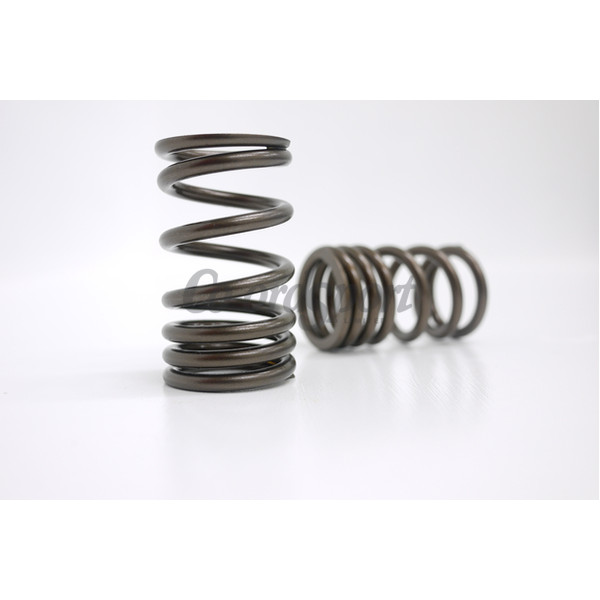 Kelford NISSAN A SERIES HIGH PERFORMANCE SPRING SET image